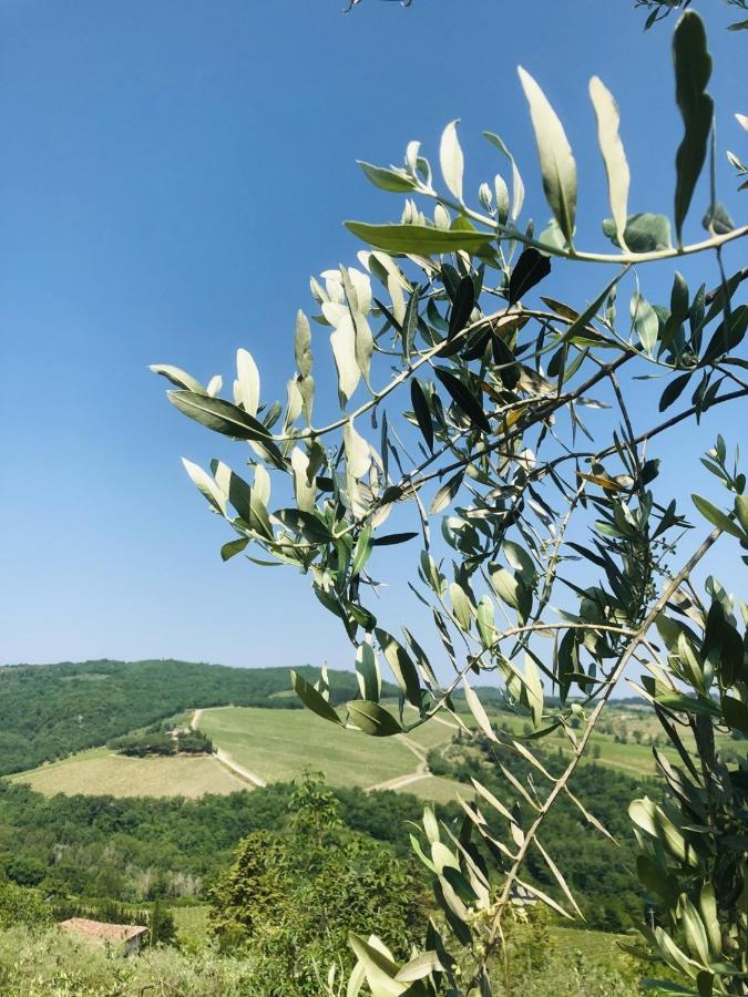 Mea Casa Toscana Castellina in Chianti Dış mekan fotoğraf