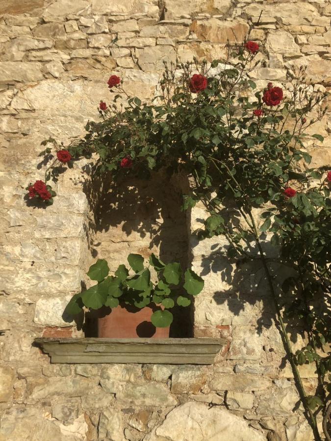 Mea Casa Toscana Castellina in Chianti Dış mekan fotoğraf