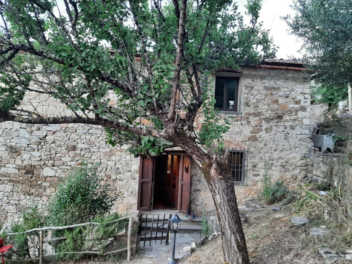Mea Casa Toscana Castellina in Chianti Dış mekan fotoğraf