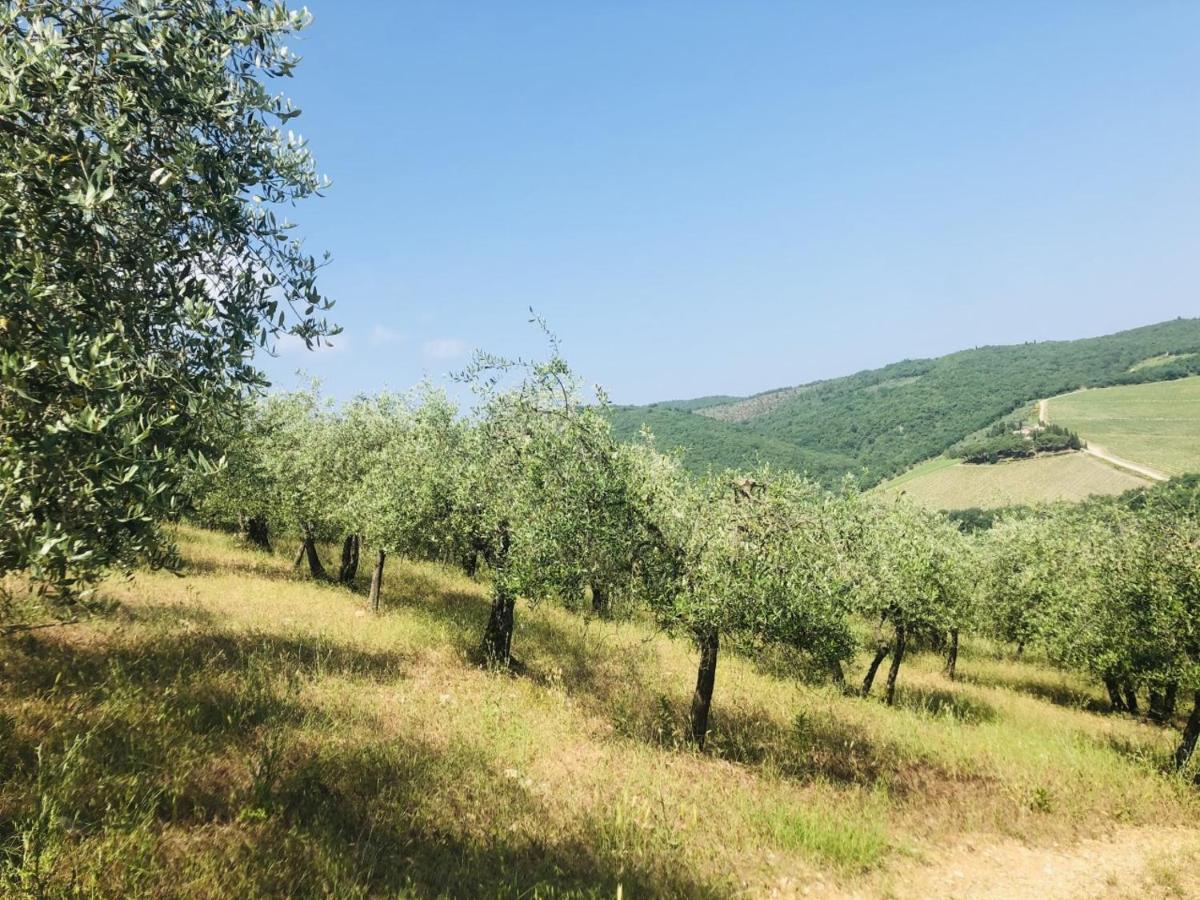 Mea Casa Toscana Castellina in Chianti Dış mekan fotoğraf