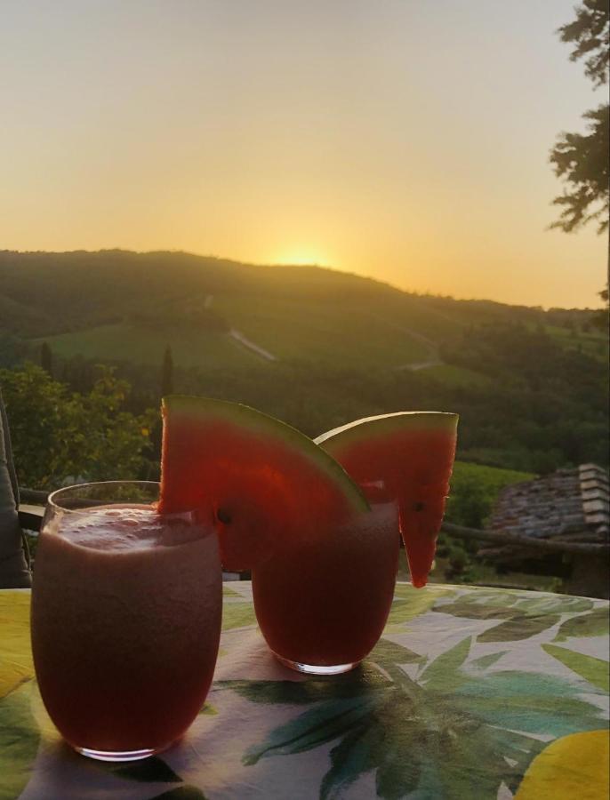 Mea Casa Toscana Castellina in Chianti Dış mekan fotoğraf