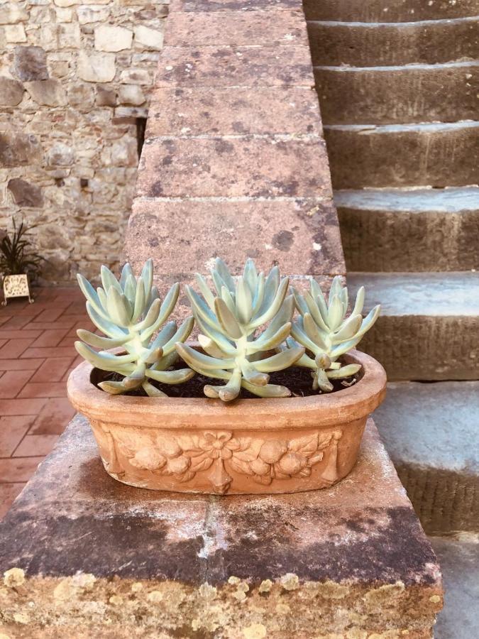 Mea Casa Toscana Castellina in Chianti Dış mekan fotoğraf
